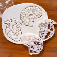 Human Organs Cookie Cutter Heart Brain Shape Fondant Icing Biscuit Mold Party Cake Decoating Baking Tools Kitchen Accessories Bread Cake  Cookie Acces