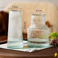 MUJI High-end vase ins wind high face value straight net red extremely frozen glacier vase transparent glass flower arrangement flower living room decoration