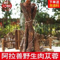 Authentic Alxa Cistanche Wild Oil Ruan Dayun Tablets Whole Health Tea Suoyang Bubble Wine