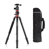 Andoer 76 Inch Camera Tripod Portable Aluminium Alloy Tripod Stand with Carry Bag 1/4 Inch Scew Quick Release Plate Transverse Center Column 360 Degree Ball Head 22lb Max Load