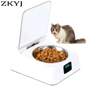 Mouse proof shop cat food bowl