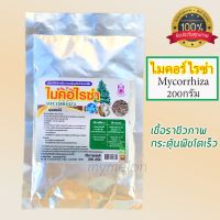 ถูก !!! ไมคอไรซ่า Mycorrhiza 200กรัม เชื้อราไมคอร์ไรซ่า เชื้อราชีวภาพกระตุ้นพืชโตเร็ว