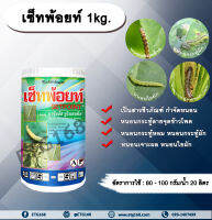 เซ็ทพ้อยท์ 1kg. BT เชื้อแบคทีเรีย บาซิลลัส ทูริงเยนซิส สารกำจัดหนอน สารชีวภัณฑ์ หนอนกระทู้ลายจุดข้าวโพด หนอนใย หนอนกระทู้หอม หนอนกระทู้