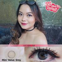 คอนแทคเลนส์ Kitty kawaii รุ่น Mini Venus Gray (สีเทา)