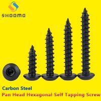 【CW】 Pan HeadHexagon Socket Tapping Screws Round tapping Screw  8.8 304