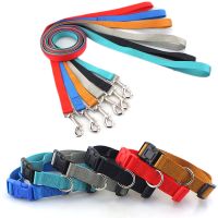 【FCL】✳✷☬ Classic Dog Collar Collars for Small Medium Dogs Can Match Leash Harness with Buckle