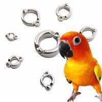 ห่วงเปิดนก #7 (Sun conure, Ringneck, Monk, Lory) ห่วงขานก