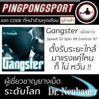 Pingpongsport ยางปิงปองเม็ดยาวไม่มีฟองน้ำ Dr.Neubauer รุ่น Gangster