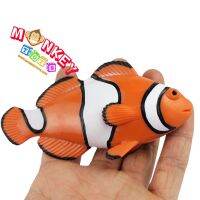 Monkey Toys - โมเดลสัตว์ Clownfish ปลาการ์ตูน สัม ขนาด 11.50 CM (จากหาดใหญ่)