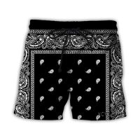 Paisley Bandana Pattern 3D Print Causal Clothing New Fashion Men Hoodie/Sweatshirt/Vest/ Shorts