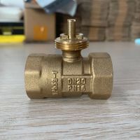 Brass Motorized Ball Valve 3-Wire Two Control Electric Actuator AC220V 3 Ways /2 Way DN15 DN20 DN25 DN32 DN40 Without Actuator