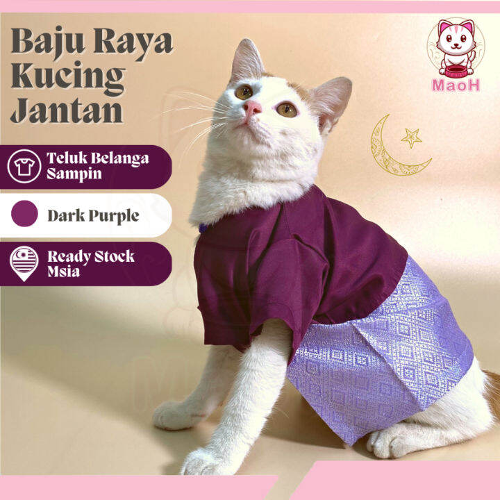 Maoh Baju Raya Cat Male (Dark Purple) Teluk Belanga Sampin 2023 Cat