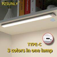 PZSUNLY Under Cabinet Light Motion Sensor Light Ultra-thin LED For Kitchen Cabinet Bedroom Wardrobe Indoor Lighting TYPE-C USB Ceiling Lights