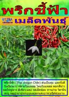 AGPV เมล็ดพันธุ์ พริกชี้ฟ้า แบ่งขาย ราคาต่อ1ซอง