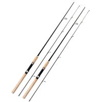 1.8M Spinning Fishing Rod M 2 Tips Weight 10-30g 8-16LB Pole