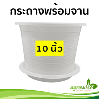 จานรอง จานรองกระถาง ถาดรองกระถางต้นไม้ สีขาว 10 นิ้ว กระถางขาว