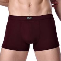 Bamboo Male Panties Sexy Underwear Men Cuecas Boxer New Fashion Boxer Shorts Mens Underware 4pcslot Free Shipping