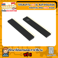 1x19 Pin 2.54 Female Pin Header Connector 19P (ขาสั้น)