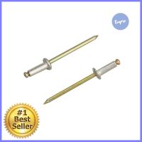 ตะปูอะลูมิเนียมยิงรีเวท FITT #4-4 55 ตัวALUMINUM RIVETS FITT NO.4-4 55EA **ราคาดีที่สุด**