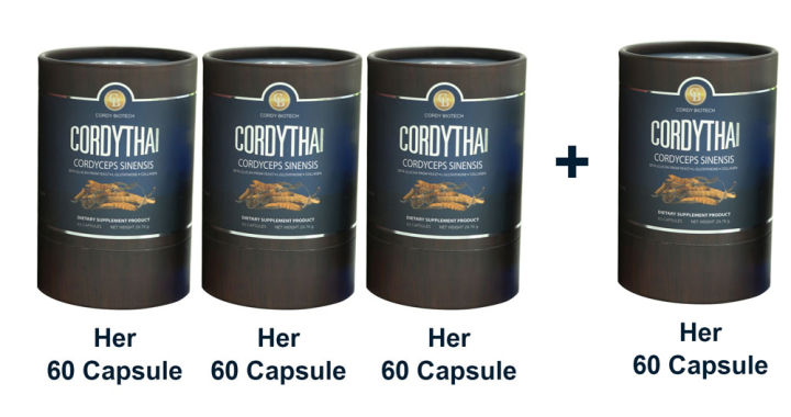 promotion-3แถม1-cordythai-ถั่งเช่าคอร์ดี้ไทย-ถั่งเช่าสูตรหญิง-4-กระปุก-60-แคปซูล