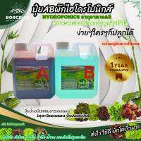 ปุ๋ย AB ปุ๋ยไฮโดรโปนิกส์ ชุด a1ลิตร b1ลิตร สำหรับผักไฮโดโปรนิกส์ 1ชุดได้AB สำหรับพืช ใบ  New