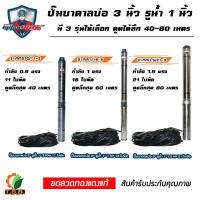 MitsuMax (ซับเมอร์ส) ปั้มบาดาล ไฟ Ac 220V บ่อ 3 นิ้ว ขนาดท่อ 1 นิ้ว (0.5 HP, 1 HP , 1.5HP)