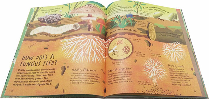 original-english-popular-science-picture-book-of-childrens-natural-knowledge-in-humongous-fungus-fungal-kingdom