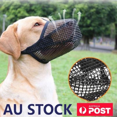 For Chewing Adjustable Breathable NEW Pet Dog