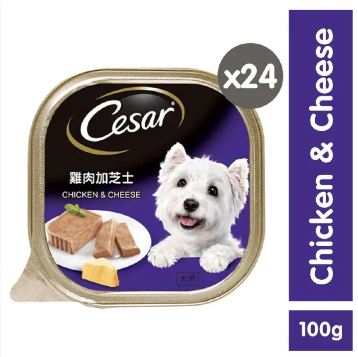 CESAR Wet Dog Food Chicken and Cheese Flavor Dog Food for Adult Dogs (24Pack), 100g. Pet