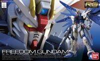 RG 1/144 FREEDOM GUNDAM