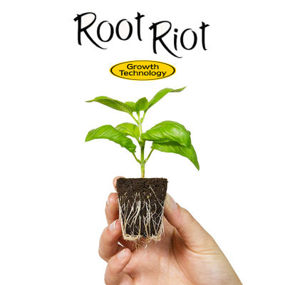 [ready stock]Root Riot วัสดุปลูกสำหรับเพาะเมล็ด และกิ่งโคลน (แพ็ค25ชิ้น)มีบริการเก็บเงินปลายทาง