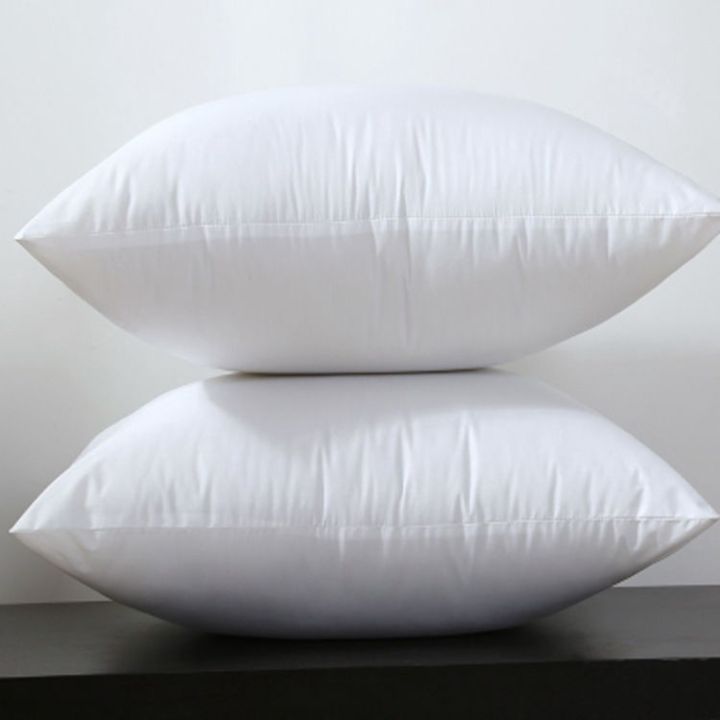 【Spot】Cushion Insert 40X40 45X45 50X50 60X60 65x65 Throw Pillows Insert