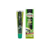 วาซาบิโอวาซาบิสดบดชนิดหลอด 43ก. ✿ WASABI-O WASABI PASTE(TUBE) 43G.