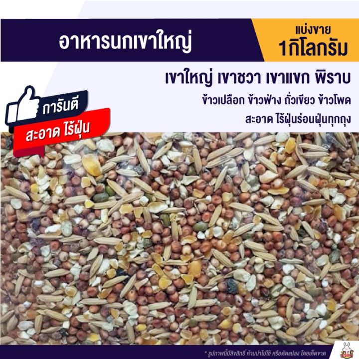 pro-โปรแน่น-อาหารนกเขาใหญ่-เขาชวา-เขาแขก-นกพิราบ-แบ่งขาย-1kg-ราคาสุดคุ้ม-อาหาร-นก-อาหารนกหัวจุก-อาหารนกแก้ว-อาหารหงส์หยก