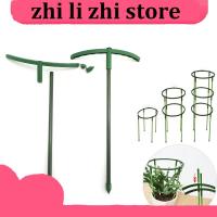 zhilizhi Store Plant Support Holder Pile Stand climb for Flowers grow Semicircle Greenhouses Arrangement Fixing Rod Orchard Garden Tool