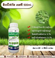 สิงห์โฟกัส เอสซี  500ml.บิสไพริแบกโซเดียม สารกำจัดวัชพืช หญ้า ในนาข้าว กำจัดหญ้าแดง หญ้ากระดูกไก่ หญ้าดอกธูปหญ้าดอกต่อหญ้าเดือยallabountplants