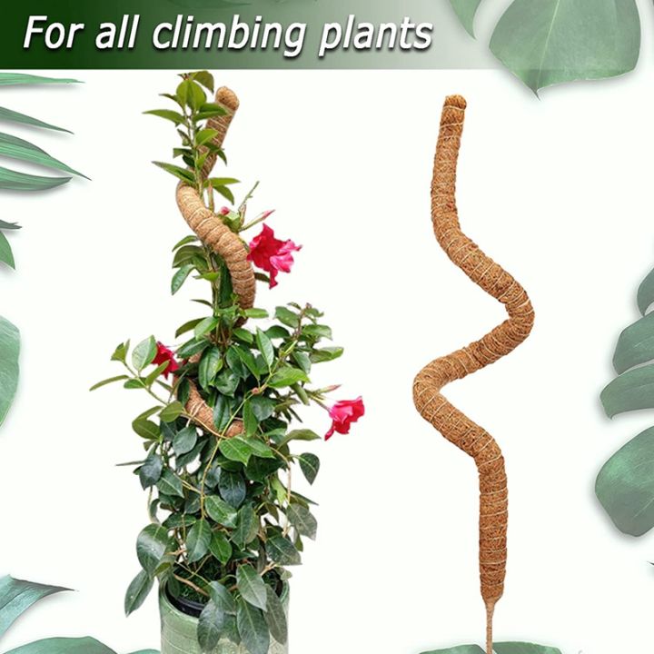 2pcs-48-inch-moss-pole-bendable-moss-pole-plant-support-sticks-for-plants-monstera-climbing-plants-indoor-garden-trellis-plant-stick-stakes