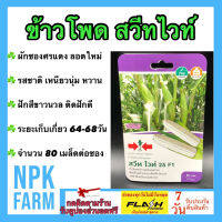 ผักซอง ศรแดง ข้าวโพด สวีทไวท์ จำนวน 80 เมล็ดต่อซอง เมล็ดพันธุ์ ลอตใหม่ ฝักใหญ่ น้ำหนักดี รสชาติเหนึยว นุ่ม หวาน ระยะเก็บเกี่ยว 60 วัน