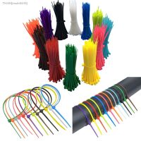 ✘ 100pcs Self Locking Nylon Cable Ties 2.5 x 200mm Plastic Zip Tie Band Wire Binding Wrap Straps Self-locking Cable Ties