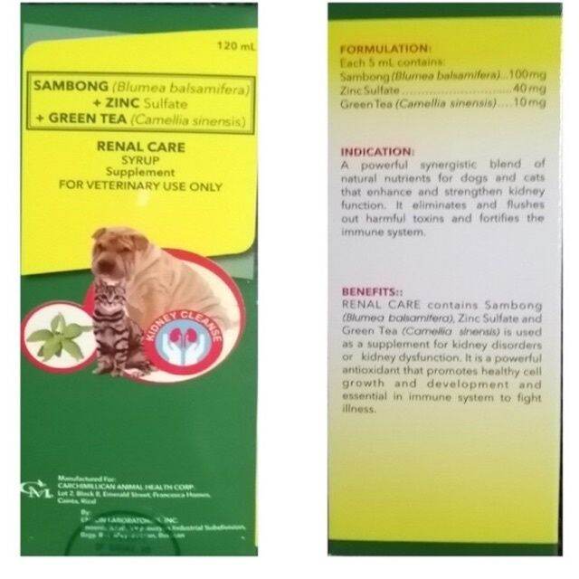 Renal Care Syrup (Sambong + Zinc + Green Tea)bIu Lazada PH