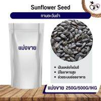 Black Sunflower ทานตะวันดำ 3เจ อาหารนก กระต่าย หนู กระต่าย กระรอก ชูก้า และสัตว์ฟันแทะ (แบ่งขาย 250G / 500G / 1KG)