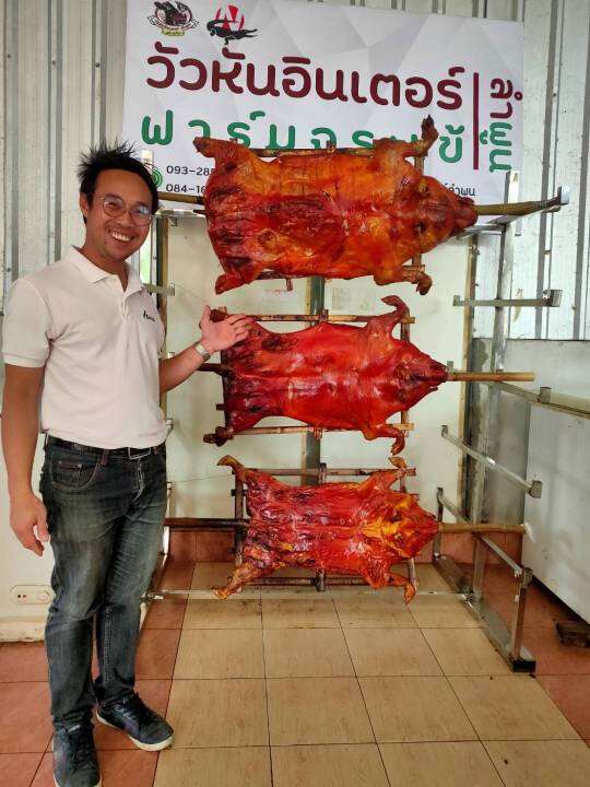 หมูหัน หมูย่าง ทั้งตัว พร้อมน้ำจิ้ม จากร้านวัวหันอินเตอร์ ลำพูน เจ้าดัง |  Lazada.Co.Th