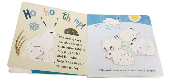 hello-world-arctic-animals
