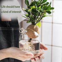 Simple glass vase transparent hydroponic plant flower apparatus modern household table living room flower arrangement Q-217