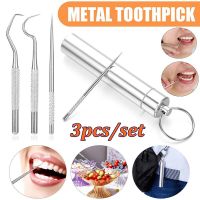 3Pcs/set Portable Toothpicks Stainless Steel Tooth Pick Sticks Pocket Toothpick with Holder for Teeth Cleaning &amp; Teeth Care