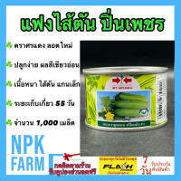 แฟง ปิ่นเพชร จำนวน 1,000 เมล็ด ศรแดง ลอตใหม่ หมดอายุ 04/2567 งอกดี แฟงไส้ตัน ผลสีเขียวอ่อน ทรงกระบอก เนื้อผลหนา ไส้ตัน ระยะเก็บเกี่ยว 55 วัน