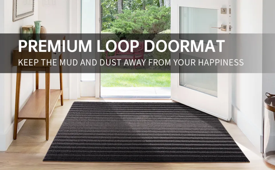 DEXI Original Indoor Doormat, Durable Absorbent Door Mats Indoor