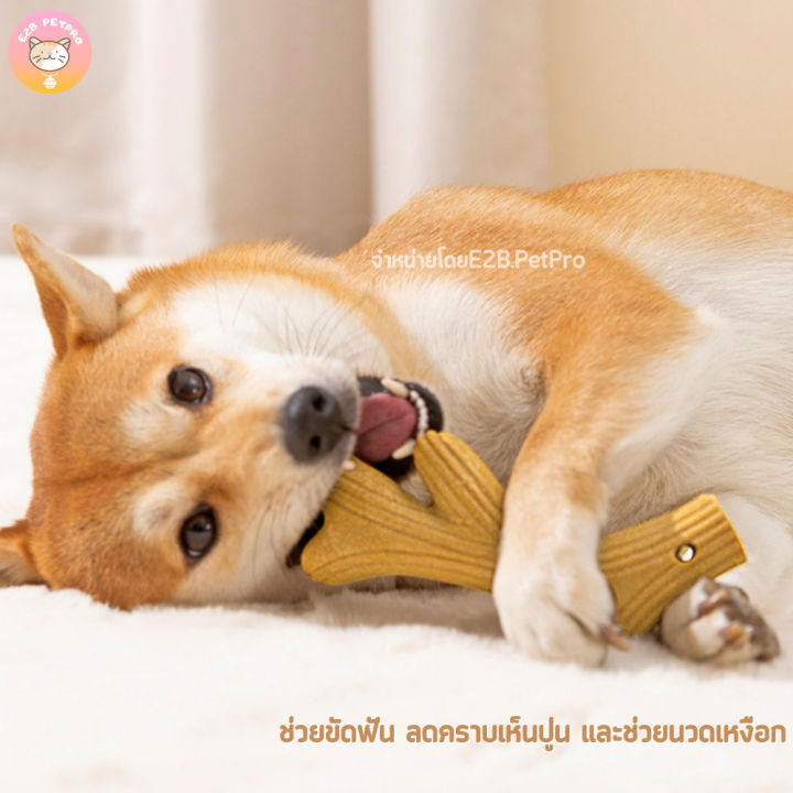 5-0-ของเล่นขัดฟันสุนัข-เขากวางขัดฟัน-ไม้สนนอกธรรมชาติgenuine-ปลอดสาร-แทะเพลินทั้งวัน-b036-สินค้าใหม่เข้าสู่ตลาด