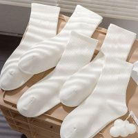 {Socks Shop} ถุงเท้าผ้าฝ้ายสำหรับผู้หญิงสีทึบสำหรับทั้งหญิงและชายถุงเท้าขนาดกลางถุงเท้าถุงเท้าข้อฉบับภาษาเกาหลีสวยงาม