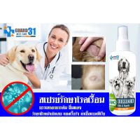 Best - ✅สินค้าขายดี✅GUARD31 สเปรย์นาโน (สูตรสำหรับสุนัข)250 ml. รักษาขี้เรื้อน ผิวหนังติดเชื้อ ผิวอักเสบ ยีสต์ คัน โรคผิวหนัง